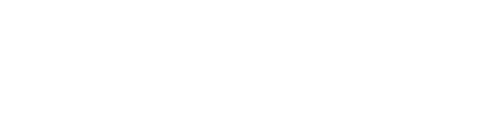 Bluebird Home Loans